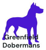 Greenfield Dobermans