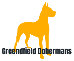 Greenfield Dobermans